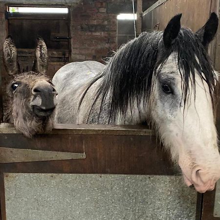 فيلا Holywell Grange Farm وايتلي باي المظهر الخارجي الصورة