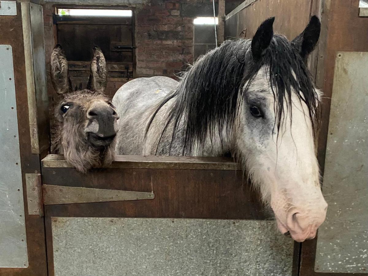 فيلا Holywell Grange Farm وايتلي باي المظهر الخارجي الصورة