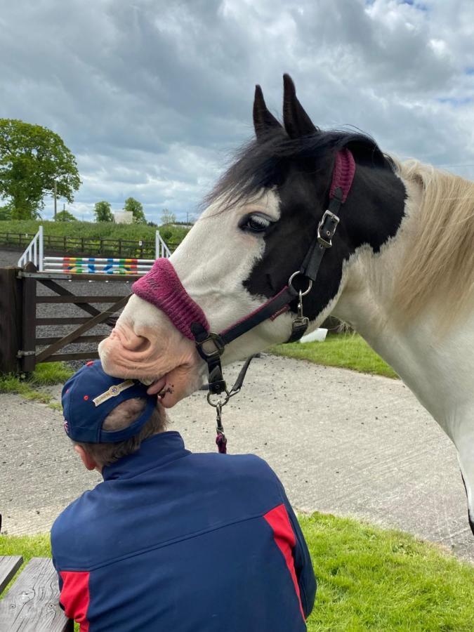 فيلا Holywell Grange Farm وايتلي باي المظهر الخارجي الصورة